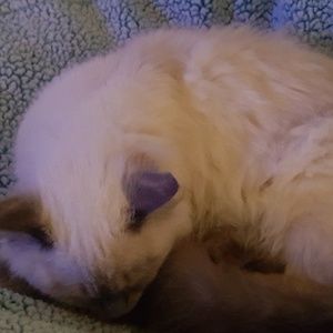 Meet your Posher, Imelda